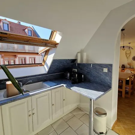 Spacieux Terrasse & Garage Strasbourg